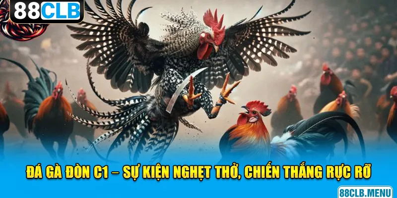 Đá Gà Đòn C1 - Giải Đấu Chọi Kê Đẳng Cấp Vạn Người Mê
