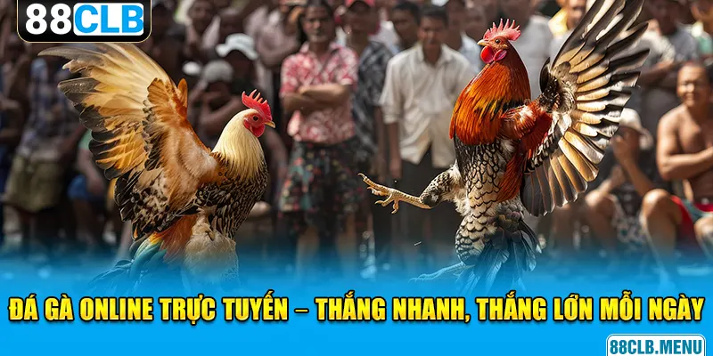 Đá Gà Online Trực Tuyến 88CLB - Đừng Bỏ Lỡ Những Trận Đấu Hay