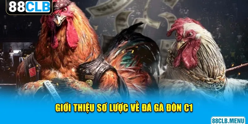 Đá Gà Đòn C1 - Giải Đấu Chọi Kê Đẳng Cấp Vạn Người Mê