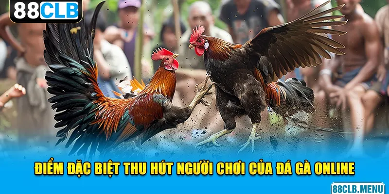 Đá Gà Online Trực Tuyến 88CLB - Đừng Bỏ Lỡ Những Trận Đấu Hay