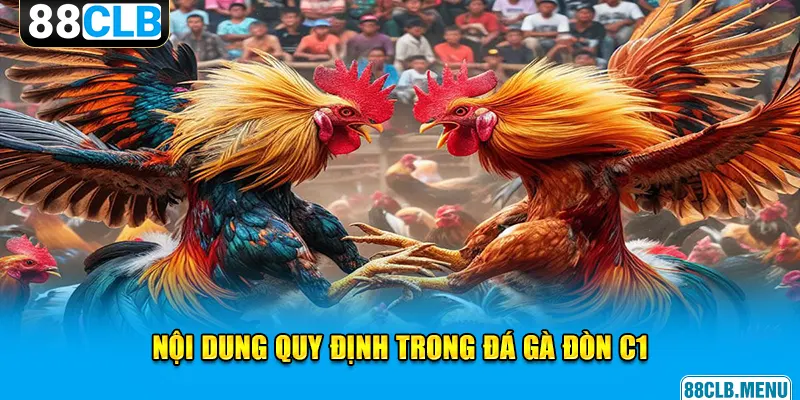 Đá Gà Đòn C1 - Giải Đấu Chọi Kê Đẳng Cấp Vạn Người Mê