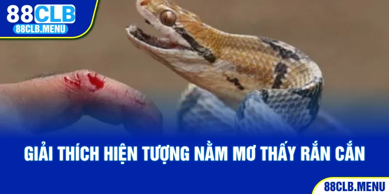 Nằm Mơ Thấy Rắn Cắn - Ý NGhĩa Và Những Con Số May Mắn