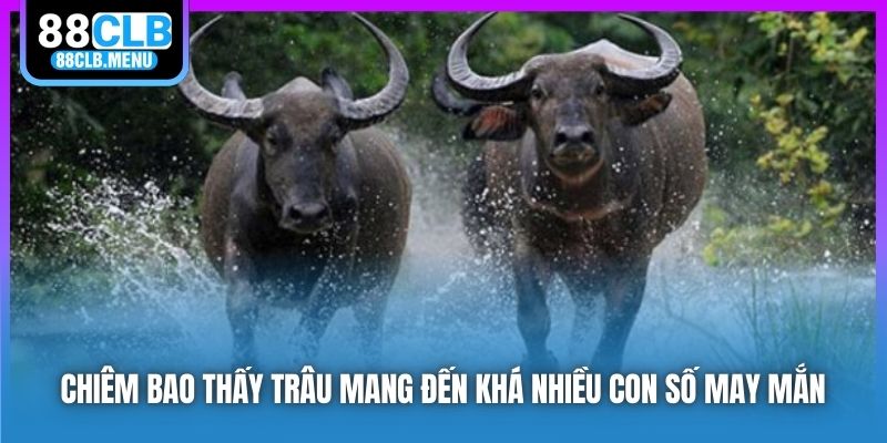 Giải Mã Nằm Mơ Thấy Trâu Và Con Số May Mắn Gắn Liền