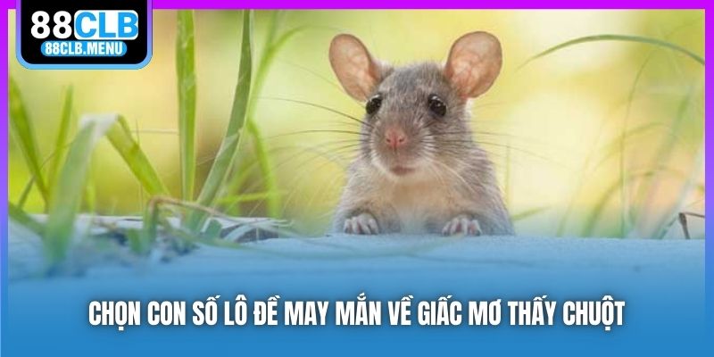 Phân Tích Nằm Mơ Thấy Chuột Và Những Con Số May Mắn