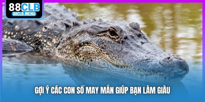 Nằm Mơ Thấy Cá Sấu Ám Chỉ Điều Gì? Đánh Số Nào Đổi Đời?