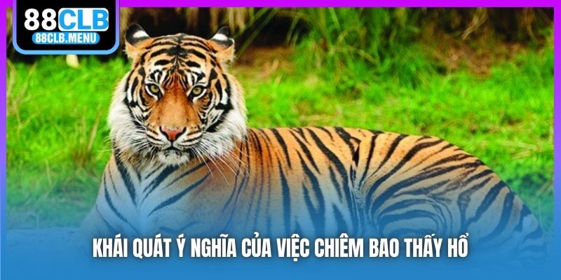 Ý Nghĩa Giấc Chiêm Bao Nằm Mơ Thấy Hổ? Chốt Số May Mắn Gì?