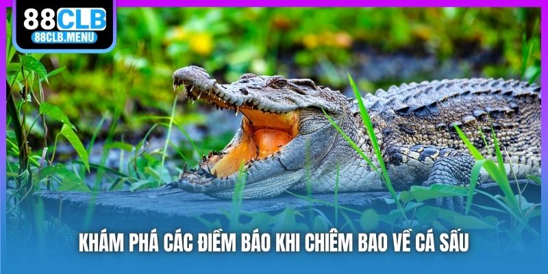 Nằm Mơ Thấy Cá Sấu Ám Chỉ Điều Gì? Đánh Số Nào Đổi Đời?