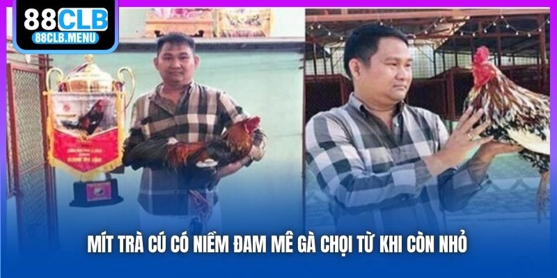 Mít Trà Cú - Nhân Vật Khét Tiếng Trong Giới Đá Gà Việt Nam
