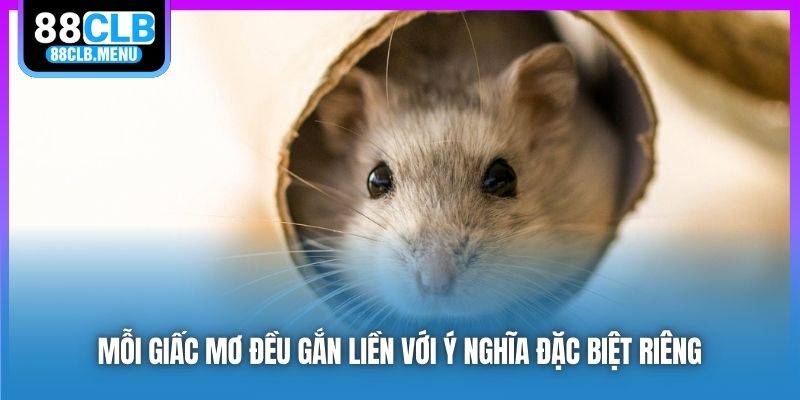 Phân Tích Nằm Mơ Thấy Chuột Và Những Con Số May Mắn