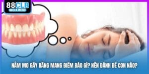 Xổ Số 88CLB - Trải Nghiệm Sân Chơi Lô Đề Hiện Đại, Uy Tín 2026