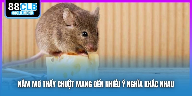 Phân Tích Nằm Mơ Thấy Chuột Và Những Con Số May Mắn