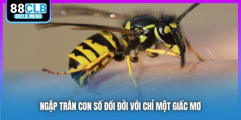 Nằm Mơ Thấy Ong Đuổi Đốt Phải Đánh Số Nào? Ý Nghĩa Là Gì?