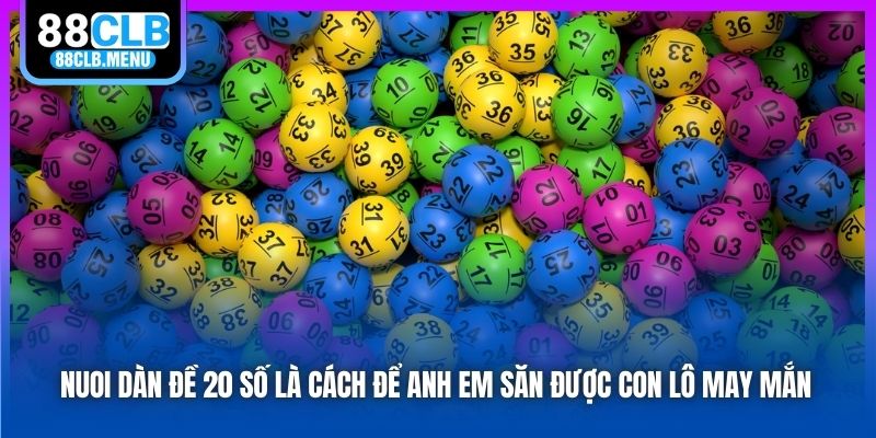 Hướng Dẫn Nuôi Dàn Đề 20 Số Bất Bại Cho Các Lô Thủ