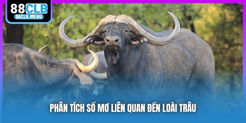 Giải Mã Nằm Mơ Thấy Trâu Và Con Số May Mắn Gắn Liền