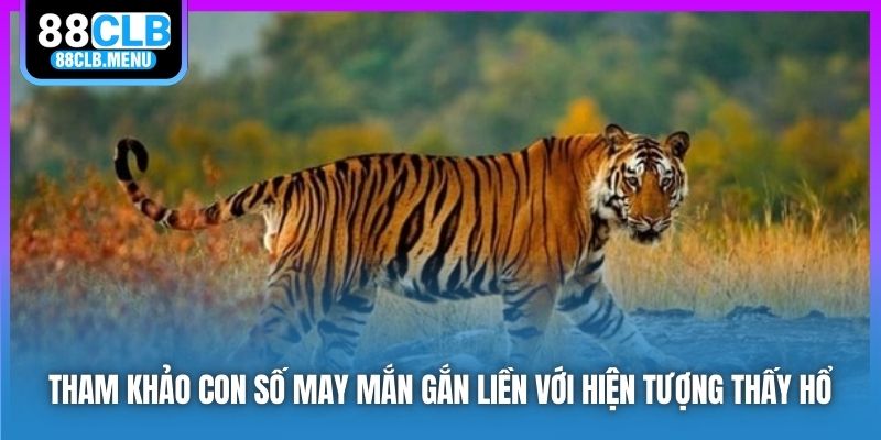 Ý Nghĩa Giấc Chiêm Bao Nằm Mơ Thấy Hổ? Chốt Số May Mắn Gì?