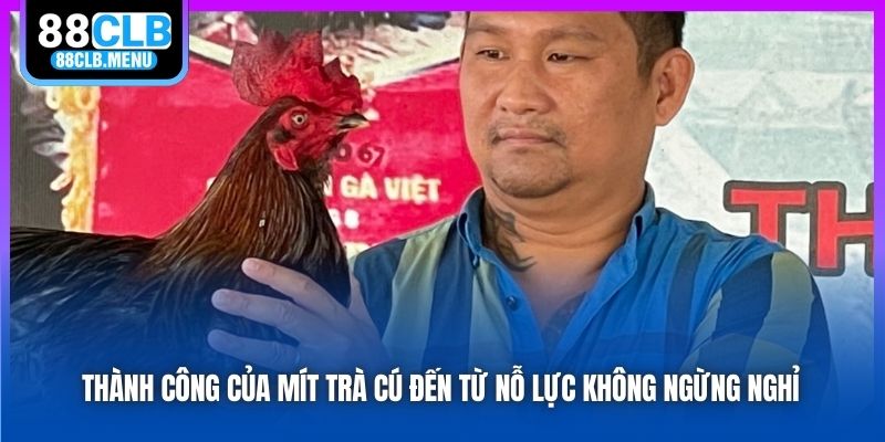 Mít Trà Cú - Nhân Vật Khét Tiếng Trong Giới Đá Gà Việt Nam