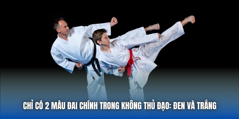Karatedo Và Những Bí Mật Về Môn Võ Có Thể Bạn Chưa Biết