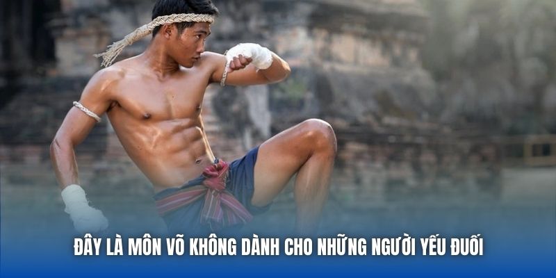Muay Thái - Môn Thể Thao Không Dành Cho Kẻ Yếu