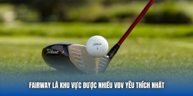 Luật Chơi Golf Chi Tiết Dành Cho Người Mới Nhập Môn