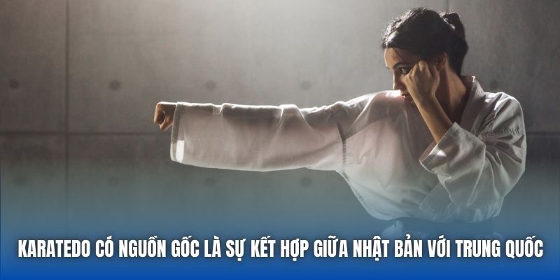 Karatedo Và Những Bí Mật Về Môn Võ Có Thể Bạn Chưa Biết
