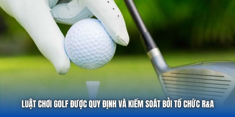 Luật Chơi Golf Chi Tiết Dành Cho Người Mới Nhập Môn