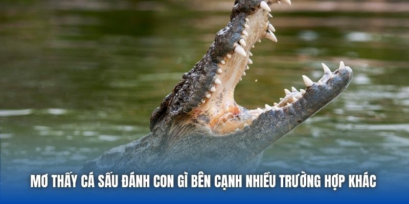 Mơ Thấy Cá Sấu Đánh Con Gì? Cùng Chuyên Gia Giải Mã Chi Tiết