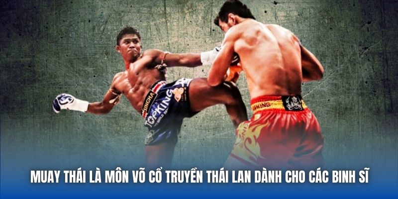 Muay Thái - Môn Thể Thao Không Dành Cho Kẻ Yếu