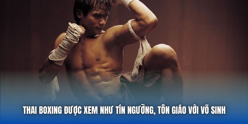 Muay Thái - Môn Thể Thao Không Dành Cho Kẻ Yếu