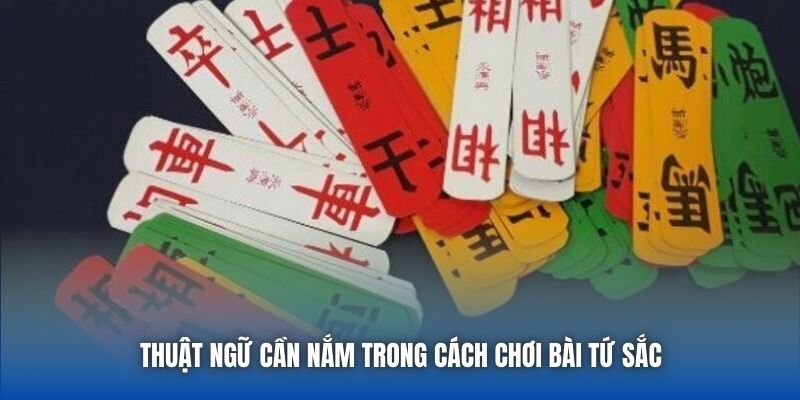 Cách Chơi Bài Tứ Sắc Cơ Bản Một Lính Mới Cần Nắm