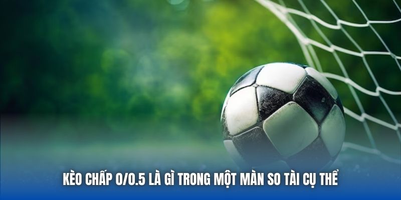 Kèo Chấp 0/0.5 Là Gì? Giải Mã Chi Tiết Về Đồng Banh Nửa Trái