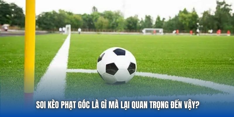 Soi Kèo Phạt Góc Là Gì? Có Giúp Bạn Gia Tăng Cơ Hội?