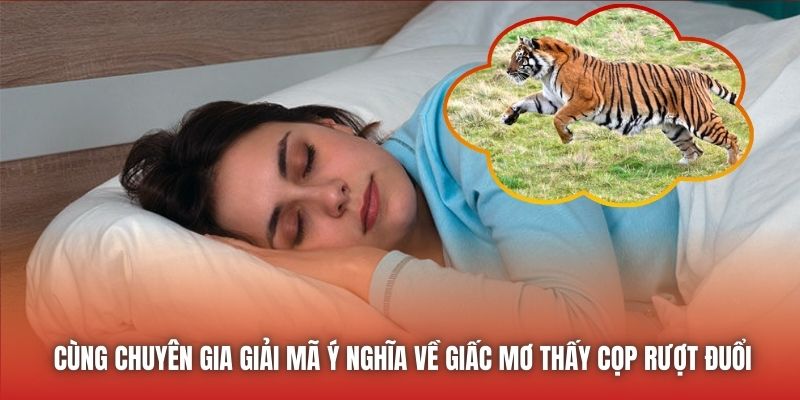 Mơ Thấy Hổ Rượt Đuổi - Ý Nghĩa Chiêm Bao Chi Tiết Nhất