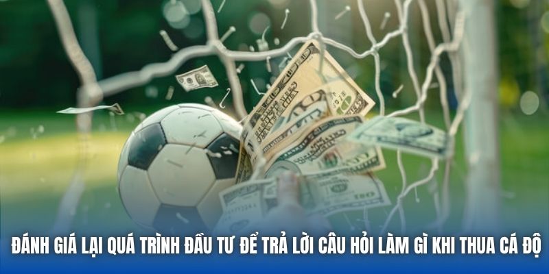 Làm Gì Khi Thua Cá Độ Bóng Đá Để Tìm Lại Chính Mình?