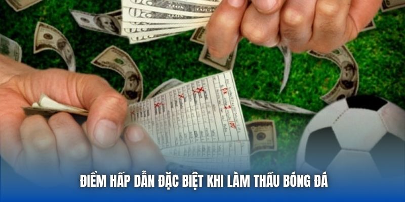 Thầu Bóng Đá Là Gì? Hướng Dẫn Cho Tân Thủ Mới Bắt Đầu