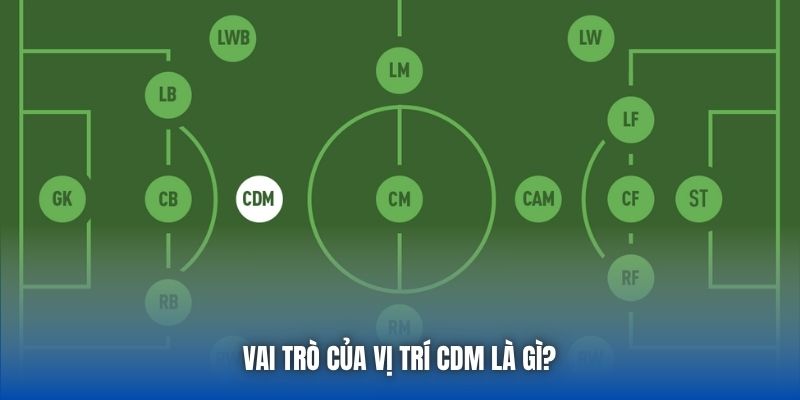 Vị Trí CDM Là Gì? Vai Trò Mỏ Neo Quan Trọng Trong Bóng Đá