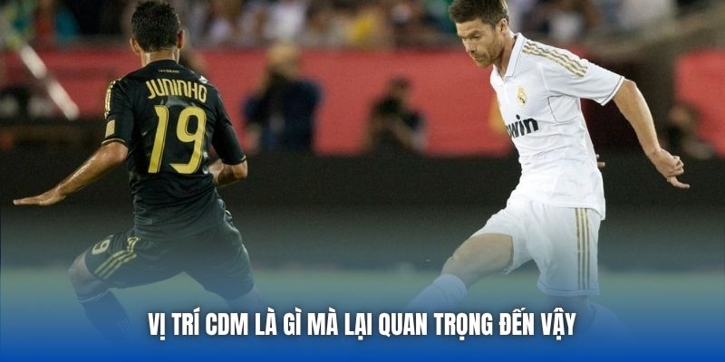 Vị Trí CDM Là Gì? Vai Trò Mỏ Neo Quan Trọng Trong Bóng Đá