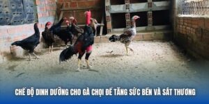 Blog 88CLB - Kiến Thức Và Hướng Dẫn Hữu Ích Cho Người Chơi
