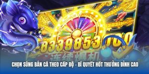 Blog 88CLB - Kiến Thức Và Hướng Dẫn Hữu Ích Cho Người Chơi