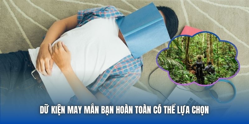 Mơ Thấy Mình Lạc Trong Rừng | Giải Mã Điềm Báo & Ý Nghĩa