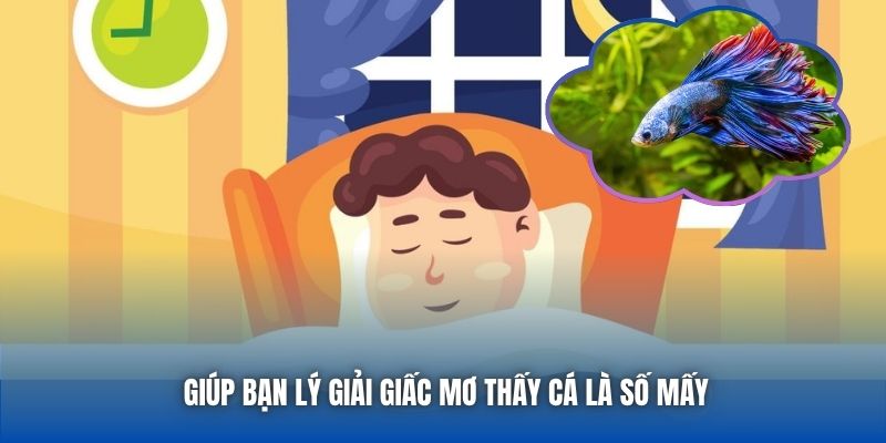 Giấc Mơ Thấy Cá Là Số Mấy? Giải Mã Chi Tiết Cho Tân Binh