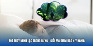 Giải Mã Giấc Mơ - 88clb.menu