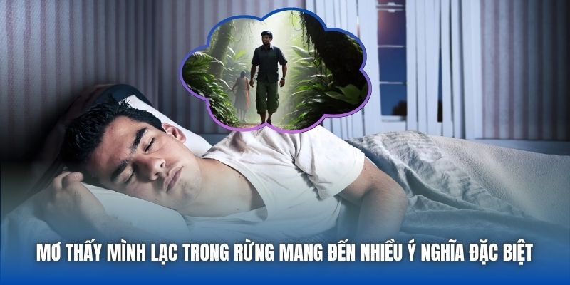 Mơ Thấy Mình Lạc Trong Rừng | Giải Mã Điềm Báo & Ý Nghĩa