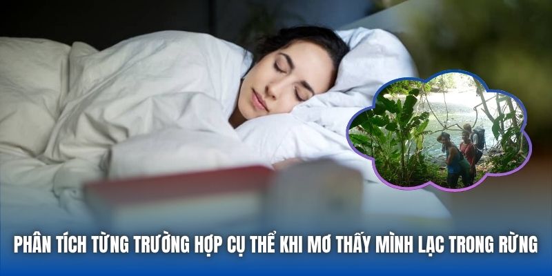 Mơ Thấy Mình Lạc Trong Rừng | Giải Mã Điềm Báo & Ý Nghĩa