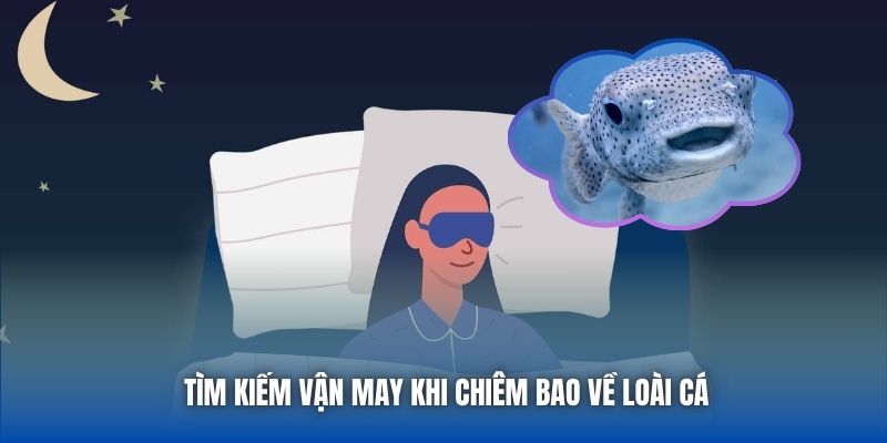 Giấc Mơ Thấy Cá Là Số Mấy? Giải Mã Chi Tiết Cho Tân Binh