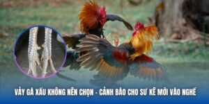 Blog 88CLB - Kiến Thức Và Hướng Dẫn Hữu Ích Cho Người Chơi