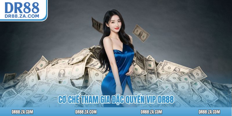 Đặc Quyền VIP DR88 – Mức Thưởng Cao Cấp Cho Hội Viên