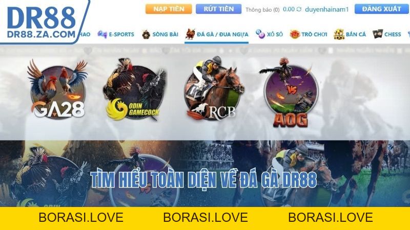 Đá Gà DR88 – Trải Nghiệm Cá Cược An Toàn Và Hấp Dẫn