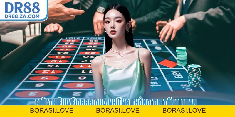 Giới Thiệu Về DR88 - Sân Chơi Cá Cược An Toàn Và Minh Bạch