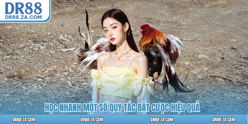 Odin Gamecock DR88 - Sảnh Đá Gà Uy Tín Hàng Đầu Châu Á