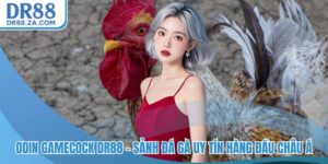 Blog Game DR88 - Kênh Thông Tin Uy Tín Từ Nhà Cái Số 1